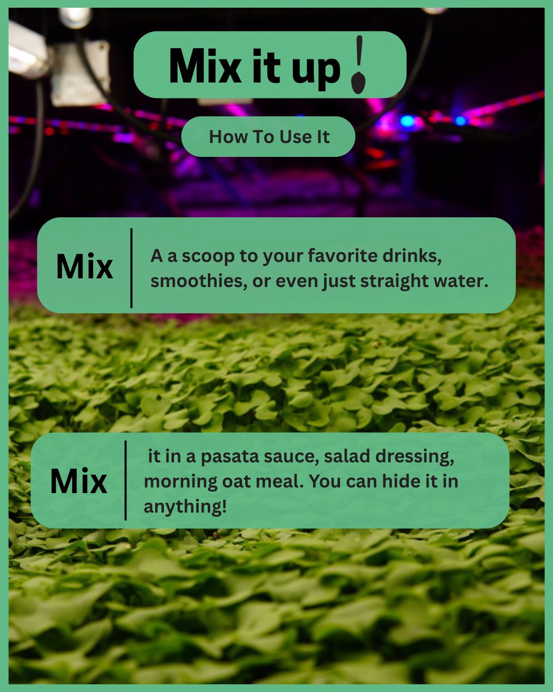 Large Microgreen Powder Blend