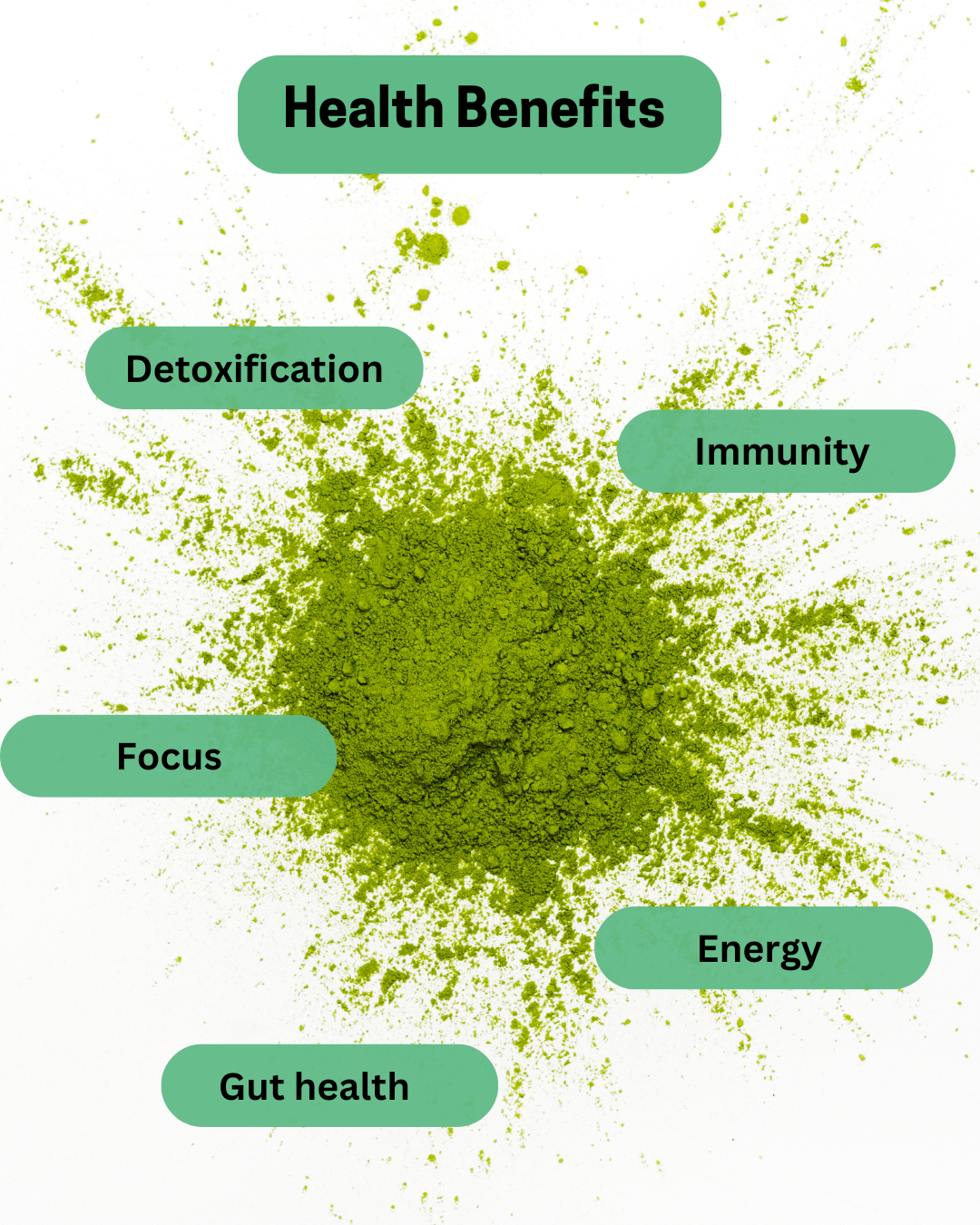 Large Microgreen Powder Blend